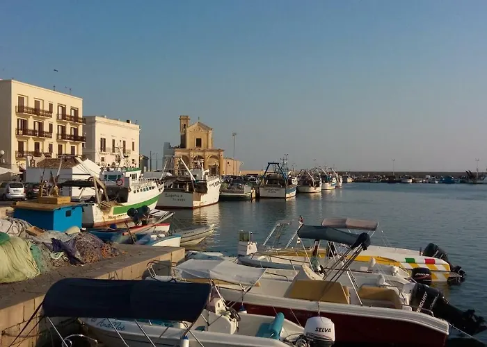 Casa Letizia * סאניקולה